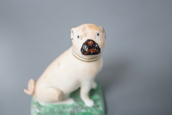 A Derby pug dog of large size, c.1810-30, naturalistically painted, sitting on his haunches incised mark for Isaac Farnsworth 8cm